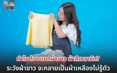 แยกผ้าสีกับผ้าขาวก่อนซัก สำคัญกว่าที่คิด! เคล็ดลับดูแลผ้าแบบมือโปร
